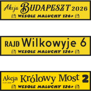 Magnetik rajdowy